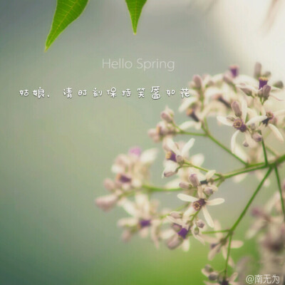 南无为原创文字