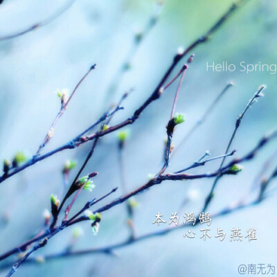 南无为原创文字