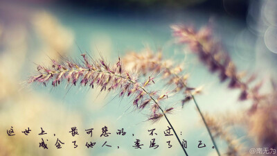 南无为原创文字