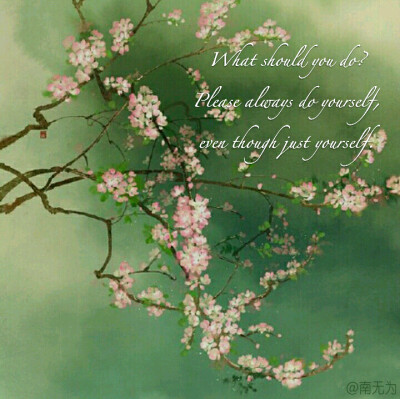 南无为原创文字