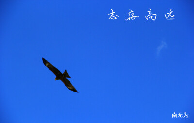 南无为原创文字