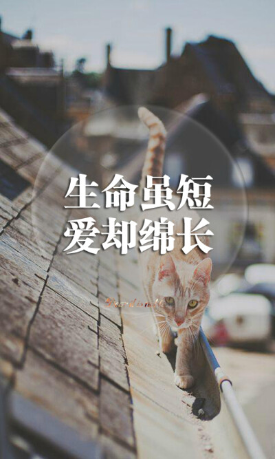 文艺#TOP.YULIA原创高清文字壁纸#QQ:1604658856#iPhone#安卓#锁屏#桌面#