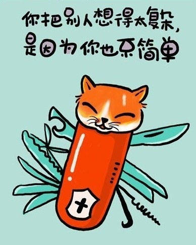  猫的人生哲理