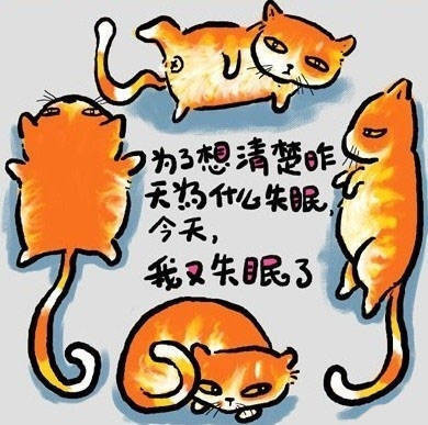 猫的人生哲理