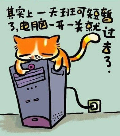 猫的人生哲理