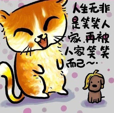 猫的人生哲理