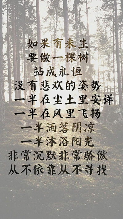 优美文字图系列