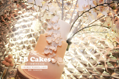 甜品台 郑州希尔顿酒店 网址www.lbcakes.net 电话：15038231791