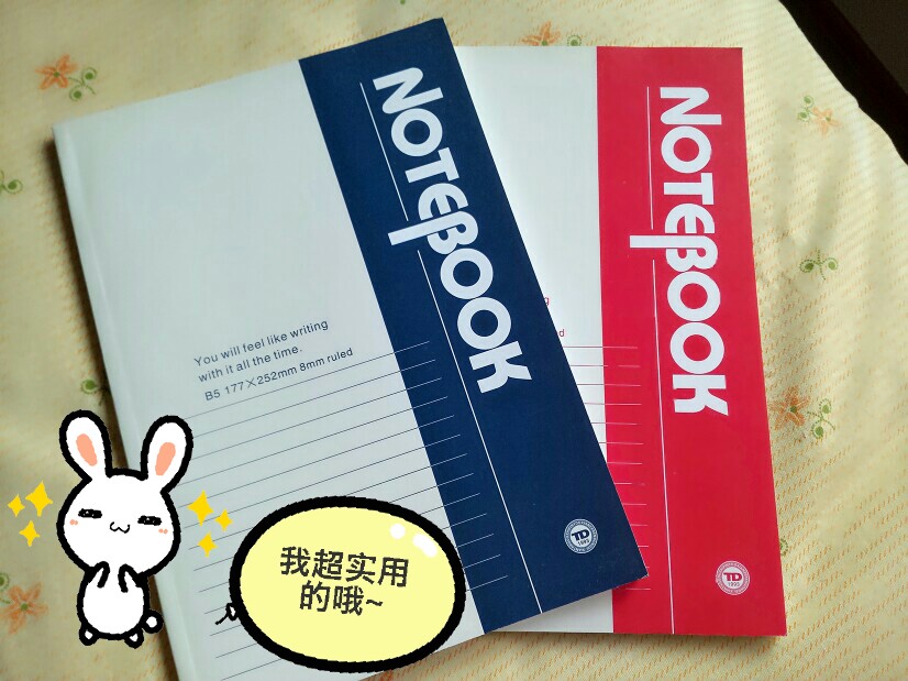 #日常の16开#超平凡的一种，特点就是没特点。干净简洁，伦家就是笔记本嘛(ง •̀_•́)ง价格便宜，曾经一段时间对它爱不释手。缺点嘛，纸质有点薄脆，不利于经常翻看