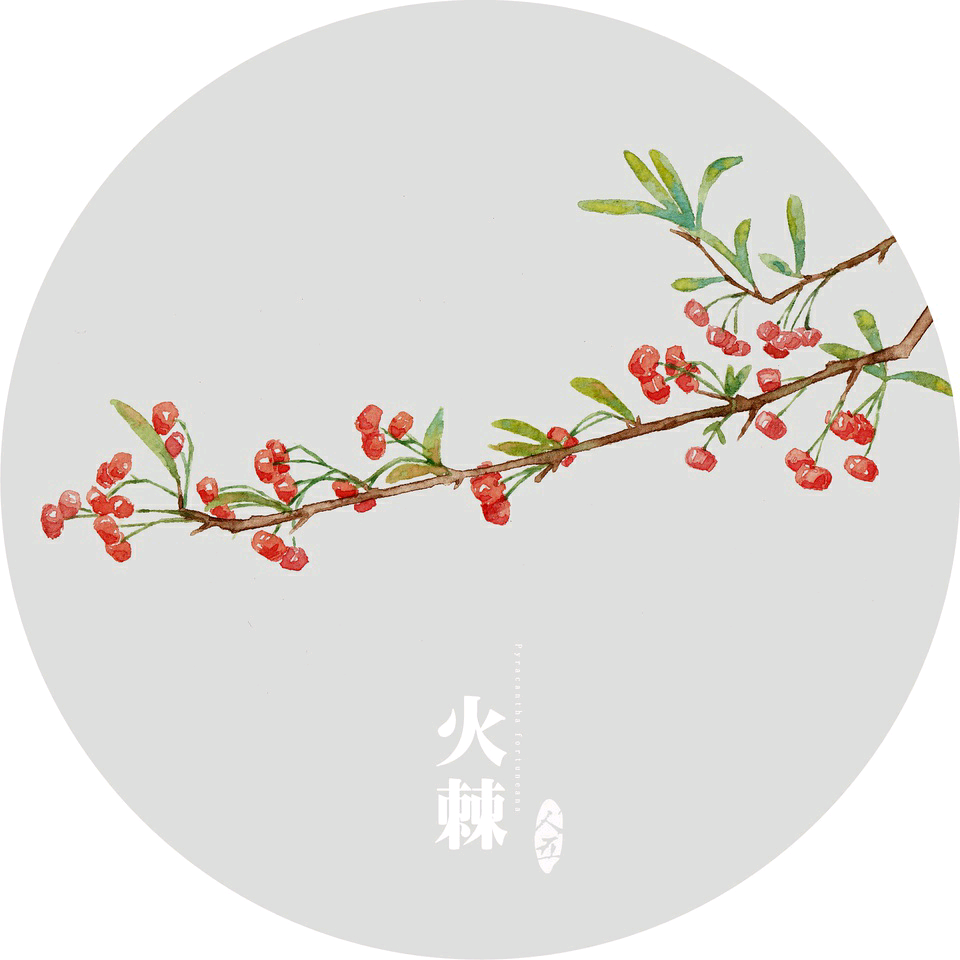 来自于植物水彩插画师人五。 出版过《手绘本草》一书，并绘制了诸多水彩植物明信片。