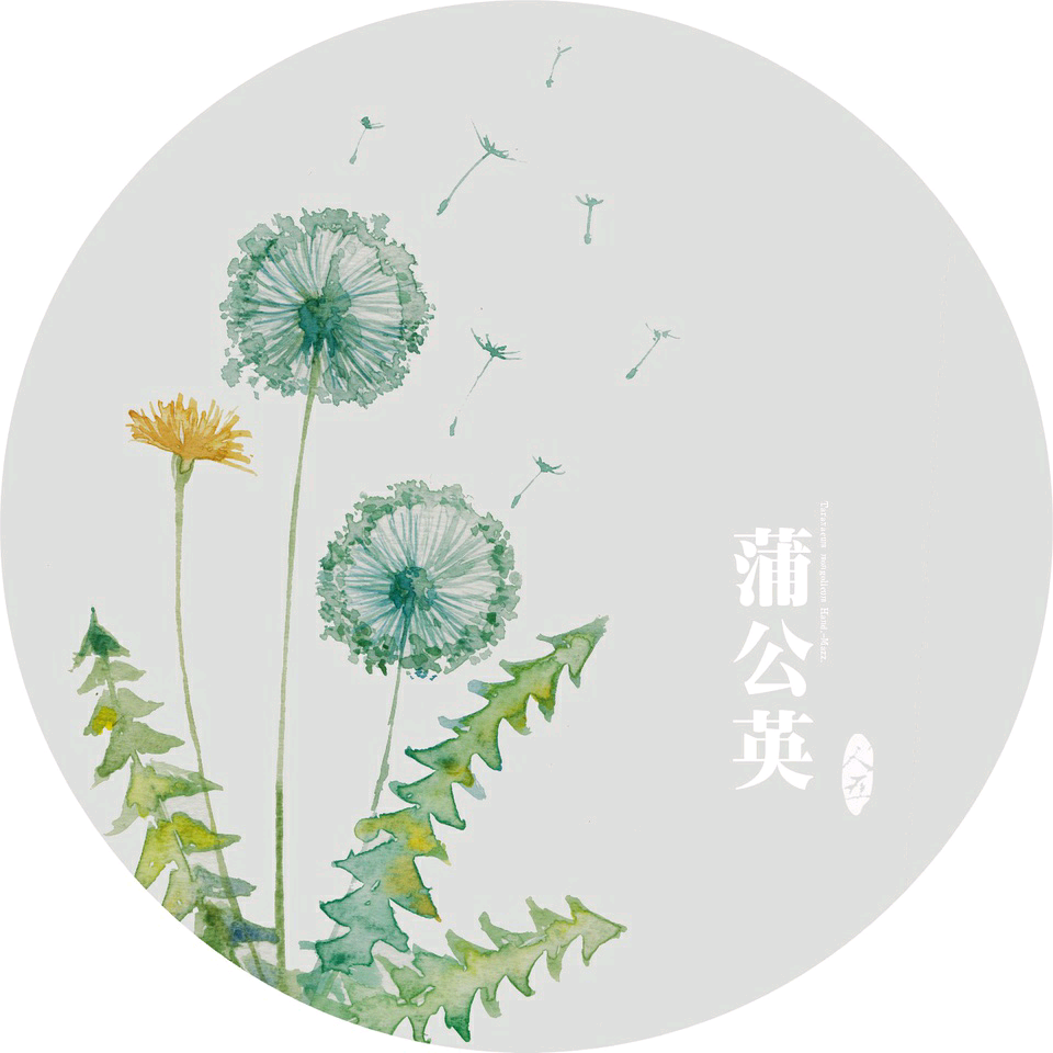 来自于植物水彩插画师人五。 出版过《手绘本草》一书，并绘制了诸多水彩植物明信片。