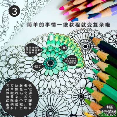 秘密花园