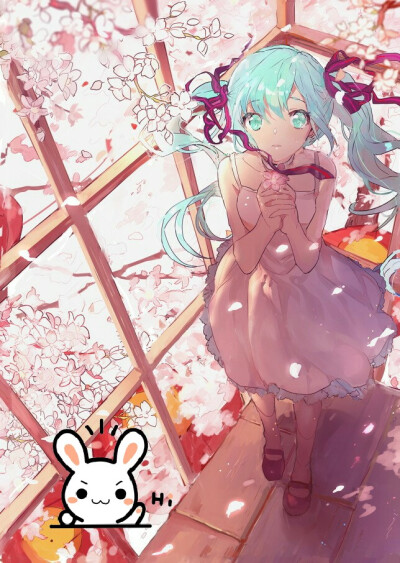 啦啦啦～初音樱花～