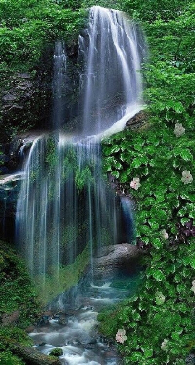 山谷之美，美得令人窒息！生命是一段旅程，在经年中前行，每个人都是行者；在岁月中跋涉，每个人都在修行。道路，不单有山清水秀，更有山谷沟壑；俗世，不单有安宁简静，更有风起云涌。