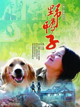 《野鸭子》 中国 2010年 26集