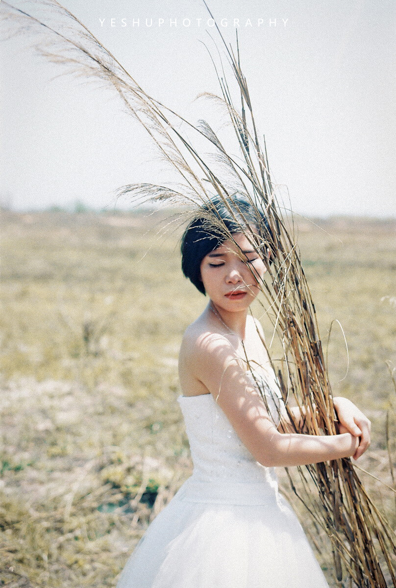 风景装在你的眼里。photo by @摄影师叶树