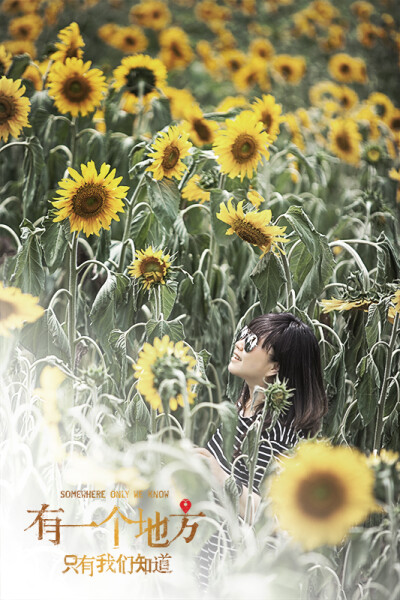 有一个地方，只有我们知道……