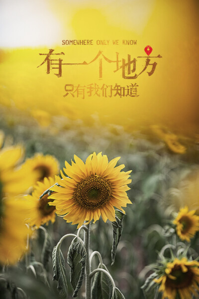 有一个地方，只有我们知道……