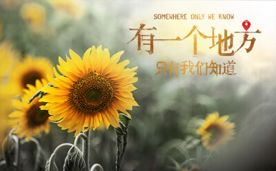 有一个地方，只有我们知道……