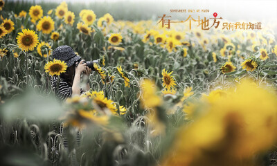 有一个地方，只有我们知道……