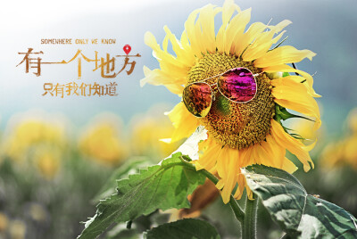 有一个地方，只有我们知道……