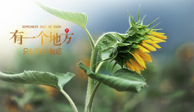 有一个地方，只有我们知道……