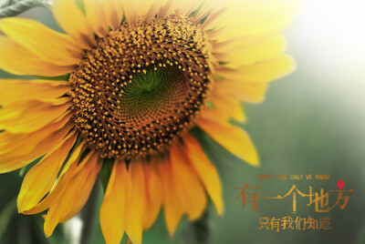有一个地方，只有我们知道……
