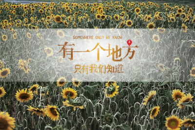有一个地方，只有我们知道……