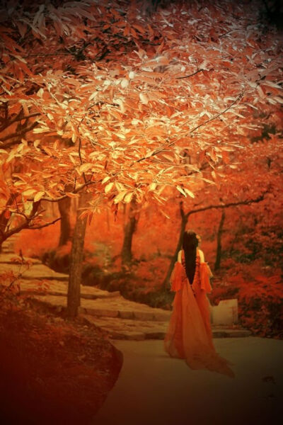 华胥引 慕言 君拂
九月，陈文侯报晁天子立公子珩为世子，加封苏慕氏为世子妃。当夜，君师父抱了个刚足月的婴孩出现在苏珩的书房中，言说慕容安已死，留下两人骨血，愿他看在往日师徒情分上，善待这个孩子。 孩子…