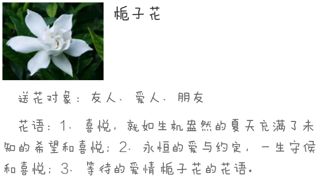 栀子花开