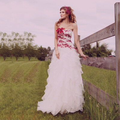 深情不及永伴，厚爱无需多言