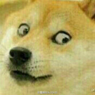 表情包 doge 惊吓