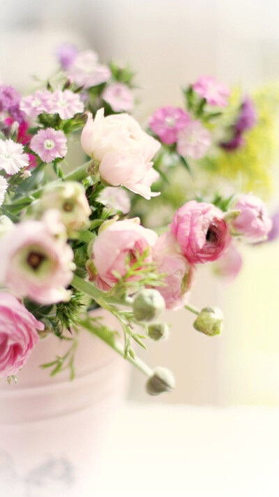 唯美图片 插花 ヽ(;^o^ヽ)