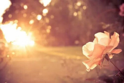 唯美图片 凸^-^凸