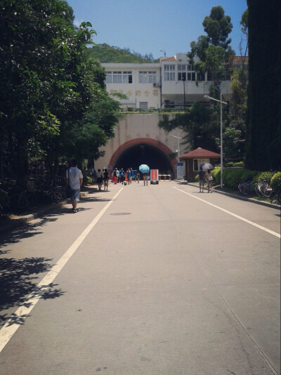 厦门大学 芙蓉隧道