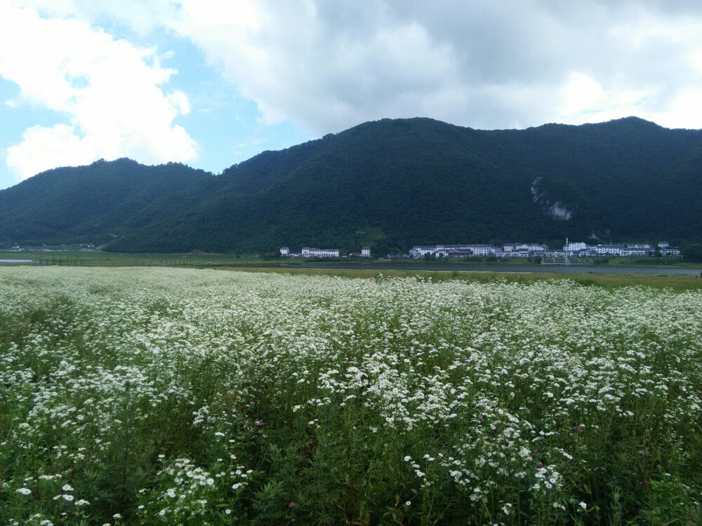 神农架大九湖