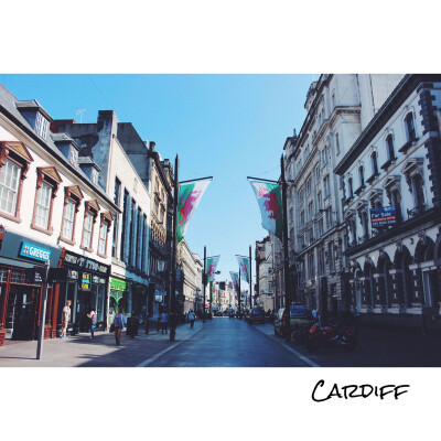 Cardiff：卡迪夫商业街Queen Street的一条分支，道路两旁竖着的旗帜，是威尔士的“国旗”…ʕ •ᴥ•ʔ