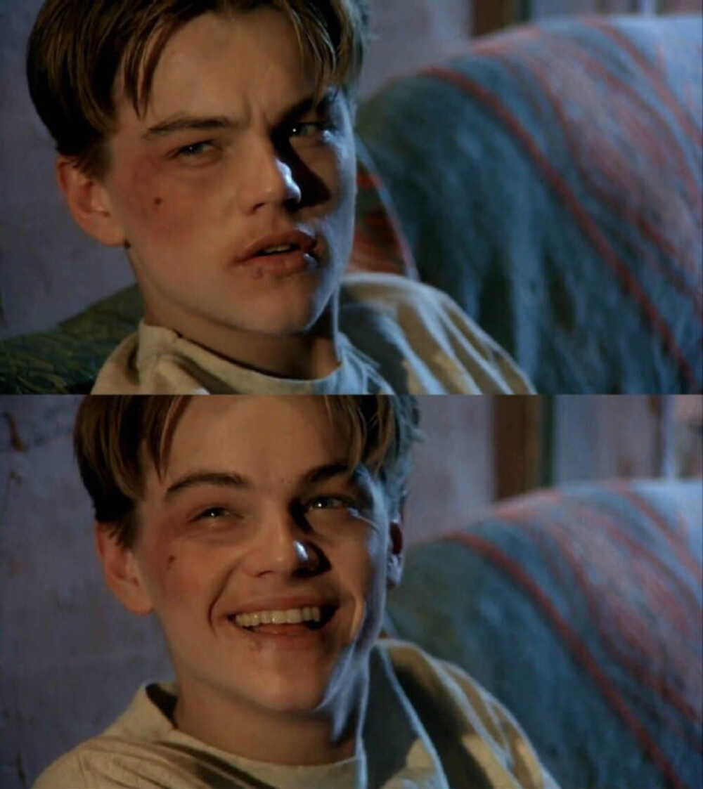 莱昂纳多边缘日记