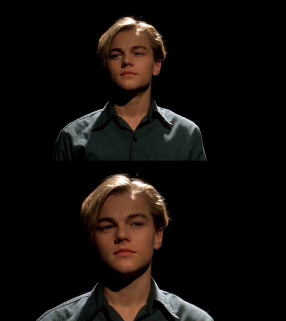 莱昂纳多边缘日记