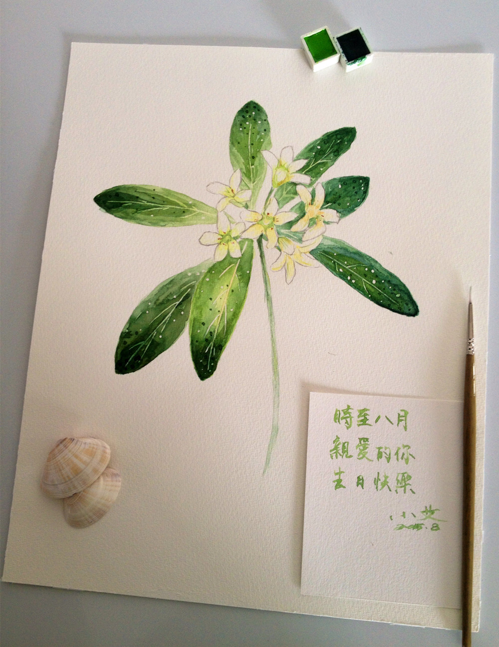 水彩，手绘，插画，生日，生日快乐，礼物，网络图片临摹。
