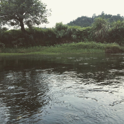 小河边拍摄，阴天