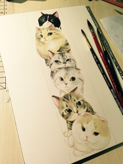 Cats' Family 第三弹1