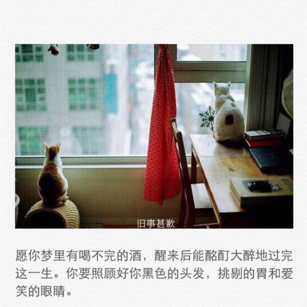 余生我们分开走