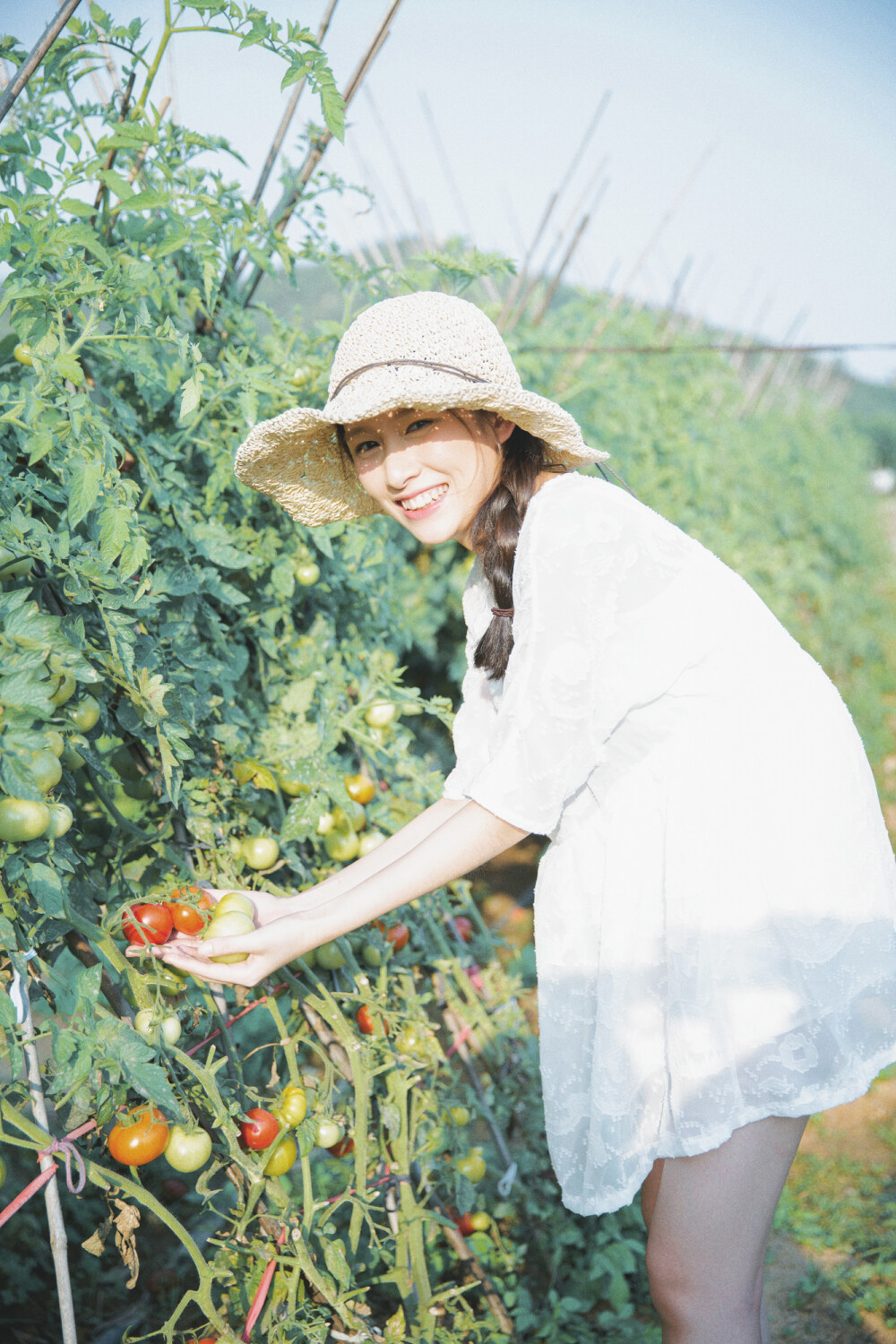 日系 番茄 少女 女生 旅行 旅拍 小白裙 搭配 清新 夏日 自然 阳光 草帽 麻花辫 夏天 深圳 文艺 森系 色彩 人像 写真 头像 封面 摄影 by 野猪力量灌入