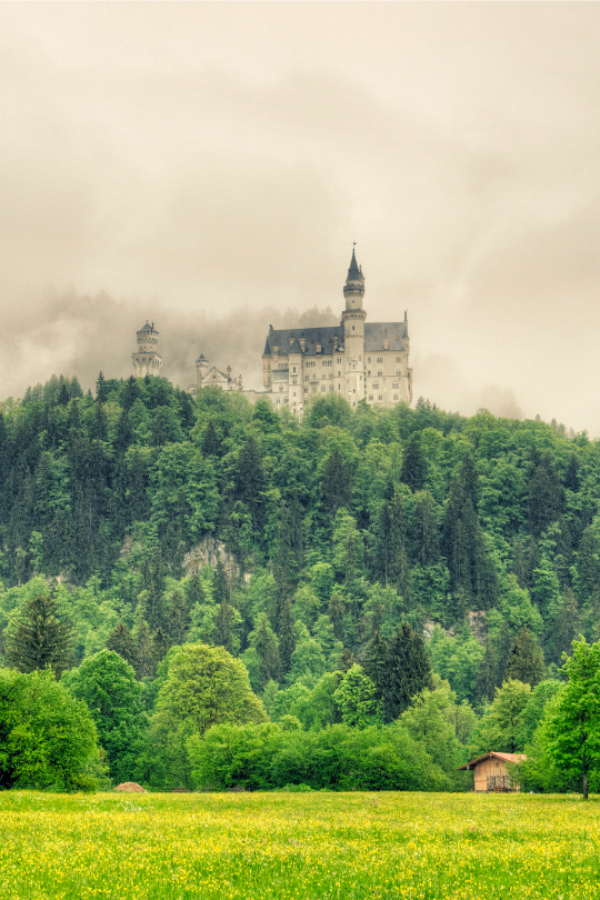 Schloss Neuschwanstein, Bavaria, Germany(by Ventura Carmona)。德国巴伐利亚新天鹅堡。座城堡是巴伐利亚国王路德维希二世建造，位在德国巴伐利亚省福森市，在德国东南与奥地利的边界上，城堡就蓋在隶属阿尔卑斯山山脈一个近一千公尺高的山顶上新天鹅堡的外型也激发了许多现代童話城堡的灵感。