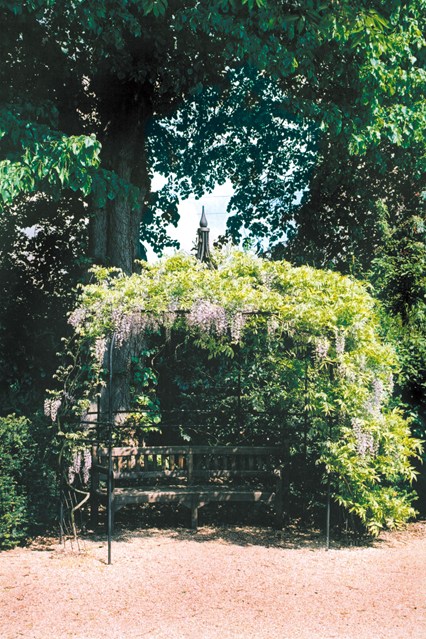 climbing plants create a pretty shaded area in the garden.