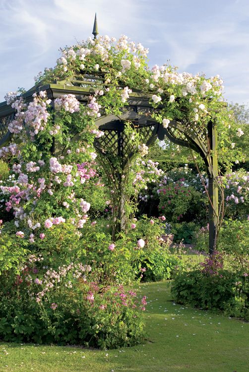 Pergola with Climbing Roses