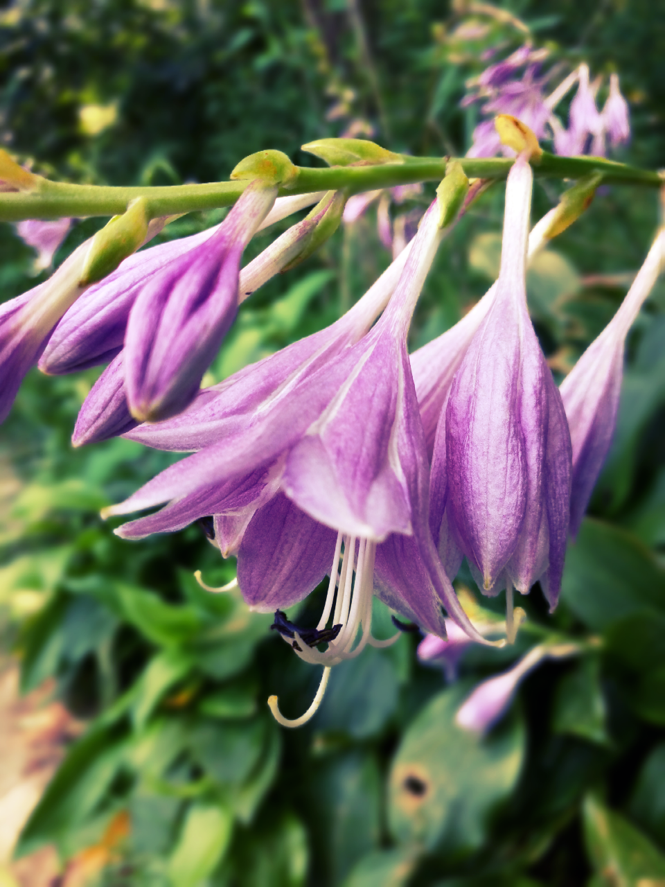  阴晴阳雨一瞬间，花开花落一瞬间，白衣苍狗一瞬间，沧海桑田一瞬间，一瞬间，是一年又一年。