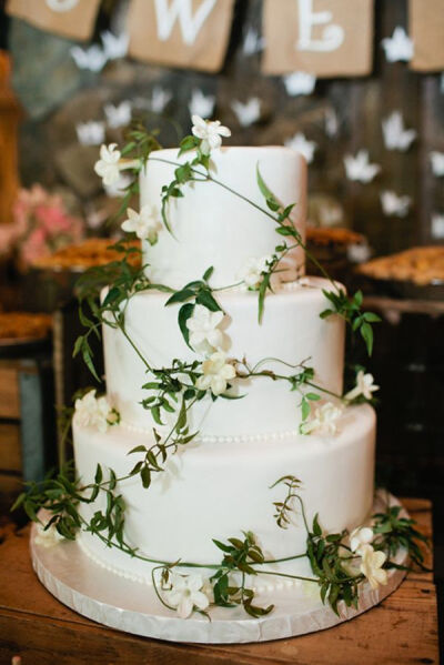 婚礼蛋糕：绿野仙踪