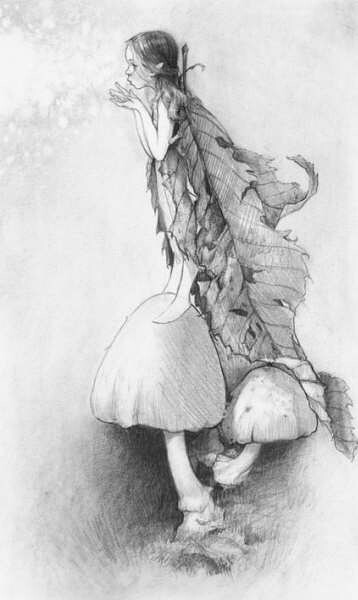 精灵【让-巴蒂斯·特蒙赫】